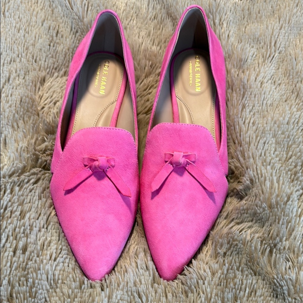 Cole Haan Viola Pink Skimmer Pointed Toe Loafer Size 8B